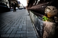 20101117_egyeb_0047