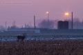 20101204_egyeb_0049