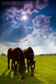 20110430_egyeb_0053