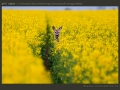 honap_fotoja_2011_05