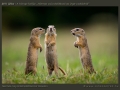 honap_fotoja_2011_07