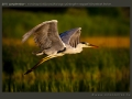 honap_fotoja_2011_09