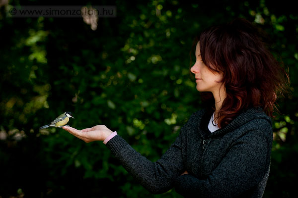 20070909_werk_0009.JPG - A menyasszonyom is nagyon �lvezte a cink�k k�zb�l val� etet�s�t.