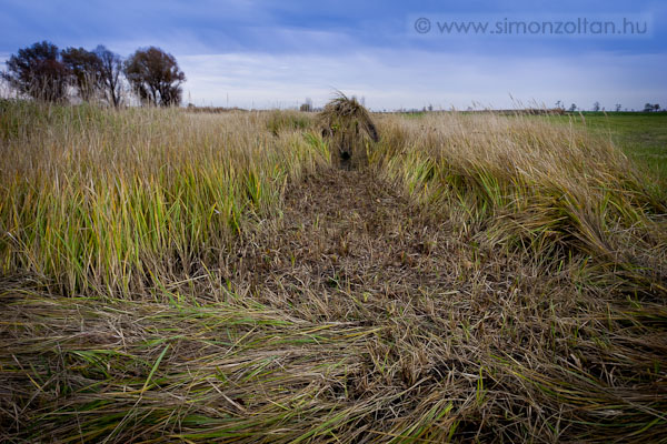 20071104_werk_0014.JPG - �lc�zott less�tor szemb�l.