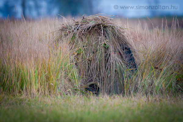 20071104_werk_0017.JPG - Less�tramat egy m�lyed�sben �ll�tottam fel �s megpr�b�ltam j�l �lc�zni, hogy ne legyen annyira felt�n�. �gy k�nyelmesen, �l� helyzetben, tudok k�zel a f�ld s�kj�b�l f�nyk�pezni.