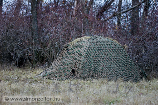 20071214_werk_0019.JPG - Az �j s�tram felavat�sa (RP Outdoor HILL-TONE 3.2, k�tbej�ratos, alum�niumv�zas, dekorh�l�val). B�r az �lyvek eg�sz nap l�t�von k�v�l, t�lem kb. 300m-re vad�sztak, �n az�rt j�l �reztem magam. M�skor jobban be kell �lc�zni magam.