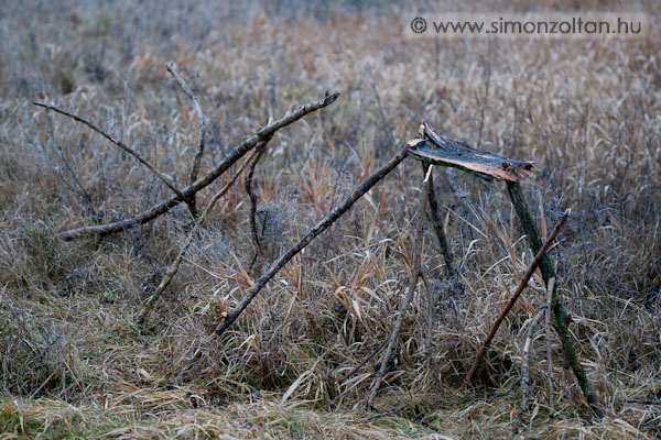 20071228_werk_0021.JPG - A terepen fellelhet� term�szetes anyagokb�l r�gt�nz�tt mobil mad�retet� asztal be�l�f�val :-)M�r a pr�ba els� napj�n bizony�tott, z�ldik�k, tengelicek, cink�k �s k�kcink�k sz�molatlanul j�ttek �s habzsolt�k a rajta felszolg�lt napraforg�magot. Igaz el�g nyom�s okuk volt: eg�sz nap konstans -7 Cfok. Ilyenkor sokat �s folyamatosan kell enni�k a kis termet� madaraknak, mert �jszaka k�nnyen megfagynak, ha nincs mivel f�teni.