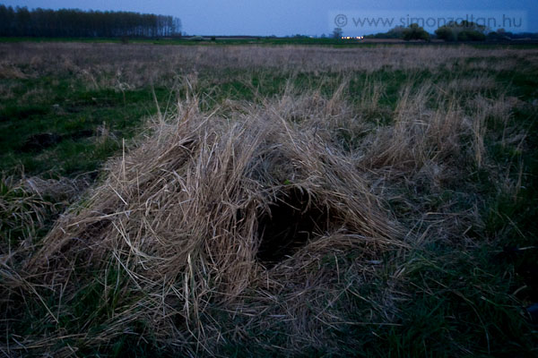 20090411_werk_0037.JPG - �z f�nyk�pez�shez a helysz�nen tal�lt n�h�ny p�lc�b�l, szederind�b�l �s sz�raz f�b�l �sszedobott leshely.