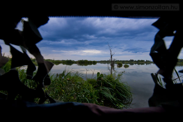 20090812_werk_0050.JPG - Csodasz�p l�tv�ny a less�torb�l.