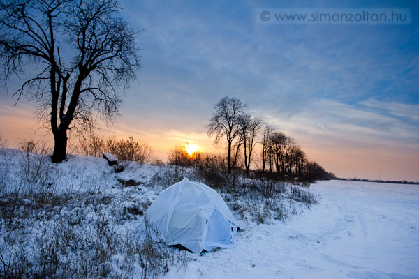 20091221_werk_0054.JPG - Egy r�katetemn�l 2,5 napot t�lt�ttem kinn decembereben. -10...-13fok volt. A s�trat ilyenkor feh�r leped�vel �rdemes �lc�zni. Az �lyvek teljesen elfogadt�k. 4 �lyv l�togatta a tetemet �s sokat marakodtak.