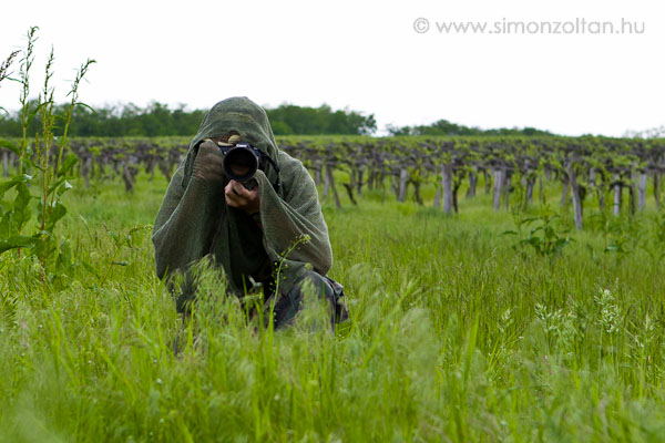 20100508_werk_0064.JPG - Akci������