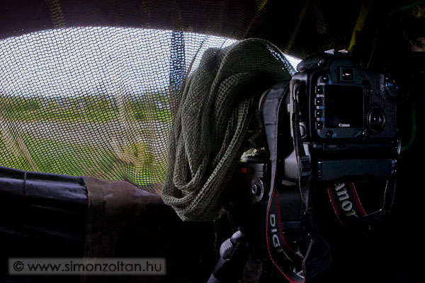 20100520_werk_0065.JPG - Barna r�tih�ja lesen.