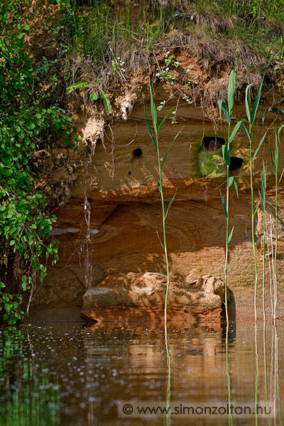 20100529_werk_0068.JPG - Haszn�latban l�v� j�gmad�r f�szek.