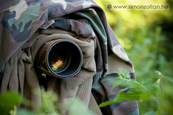 20100709_werk_0069.JPG - Ilyen egyszer� �lc�val is lehet szarvast fot�zni. Felt�ve, hogy a magas f� beseg�t az �lc�ba.