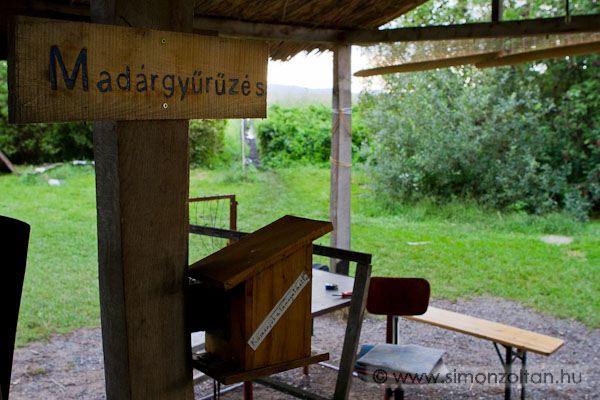 20100819_werk_0070.JPG - Ny�ron megl�togattunk egy balatoni mad�rgy�r�z� t�bort.