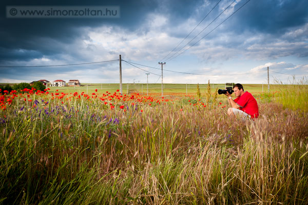 20110529_werk_0091.JPG - A t�m�hoz �lt�ztem.