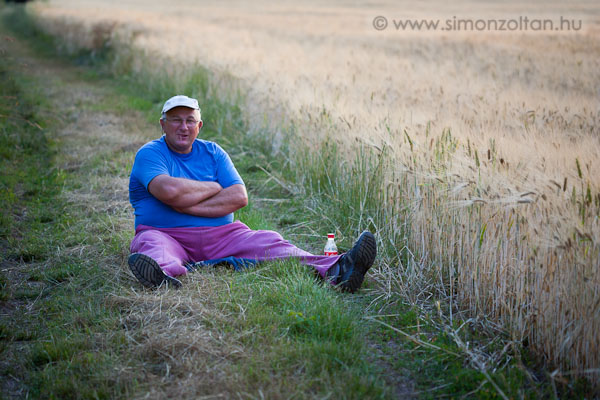 20110612_werk_0093.JPG - Ritka esem�ny: apuk�m elk�s�rt fot�zni. Eredetileg lepk�kre p�ly�ztunk, azok elt�ntek, viszont volt helyett�k karol� p�k.