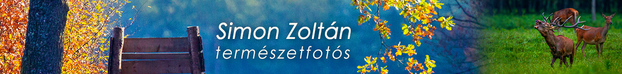 Simon Zoltn termszetfots